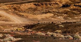 2025 赛季：由于比赛节奏变快，大联盟球场内的餐饮销售速度提升了 20%